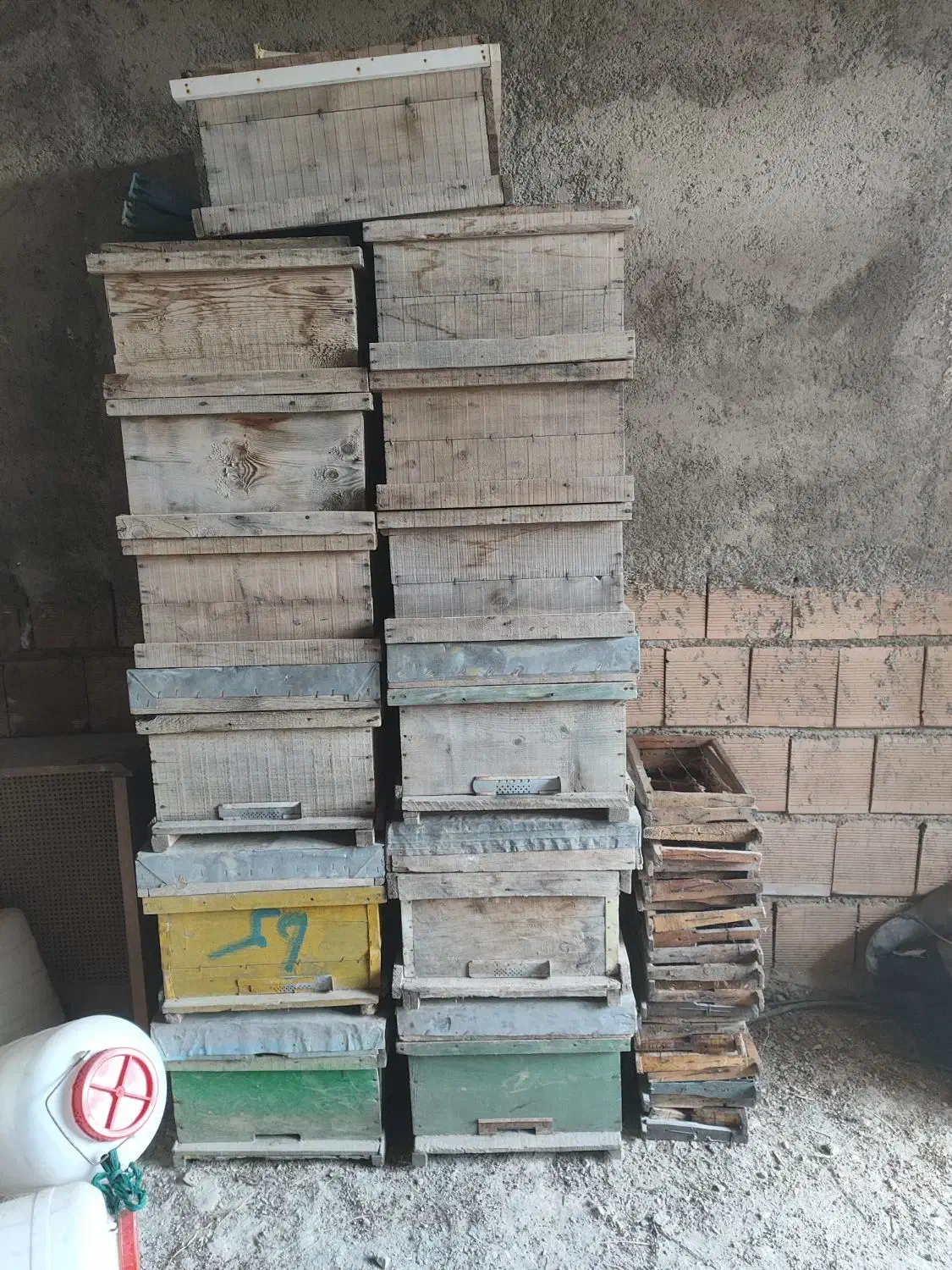 کندو خالی،طبق،دبه،جاخوراکی|لوازم جانبی حیوانات|رامیان, |دیوار