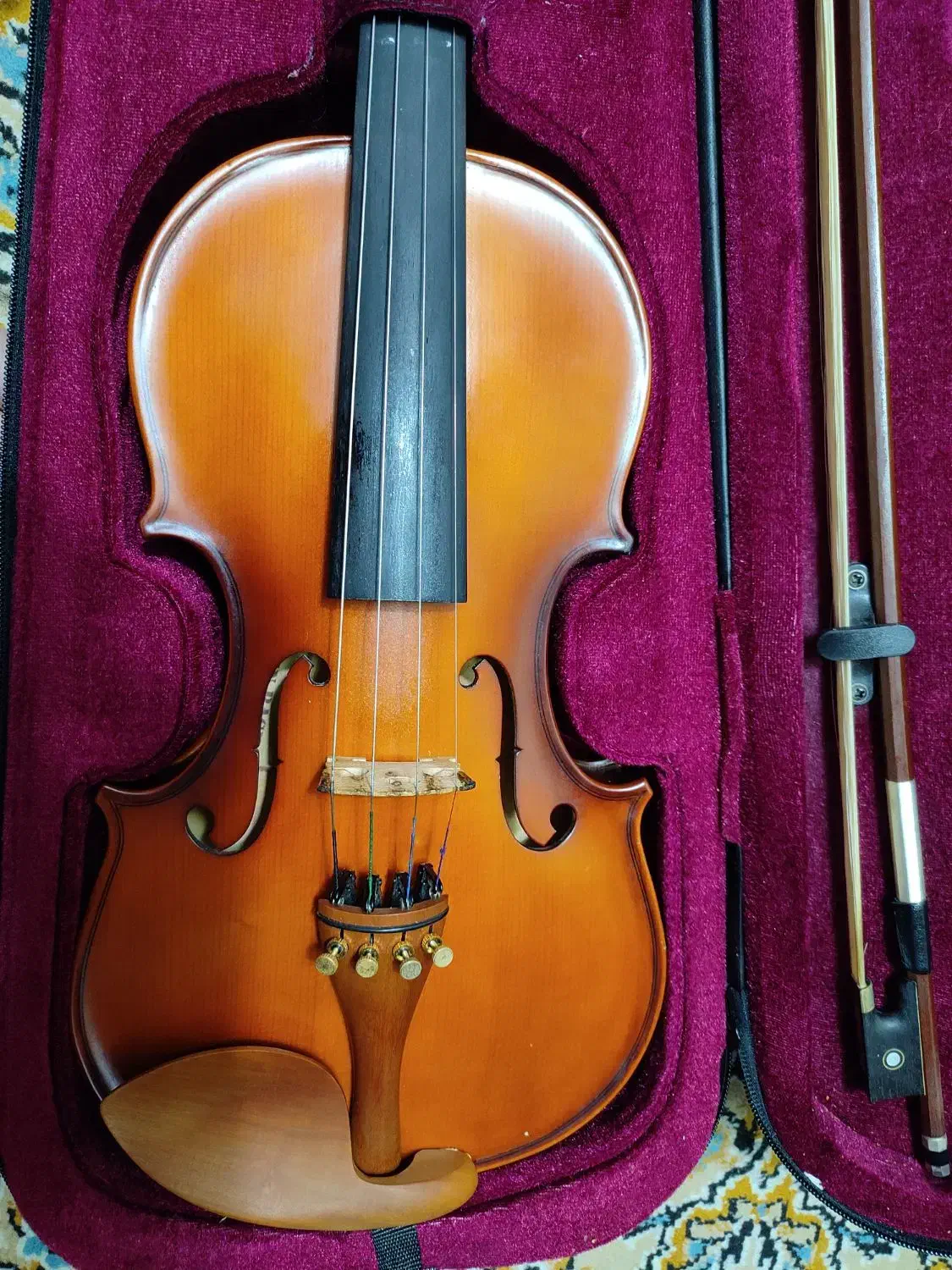 ویالون / ویولن|ویولن|ساری, |دیوار