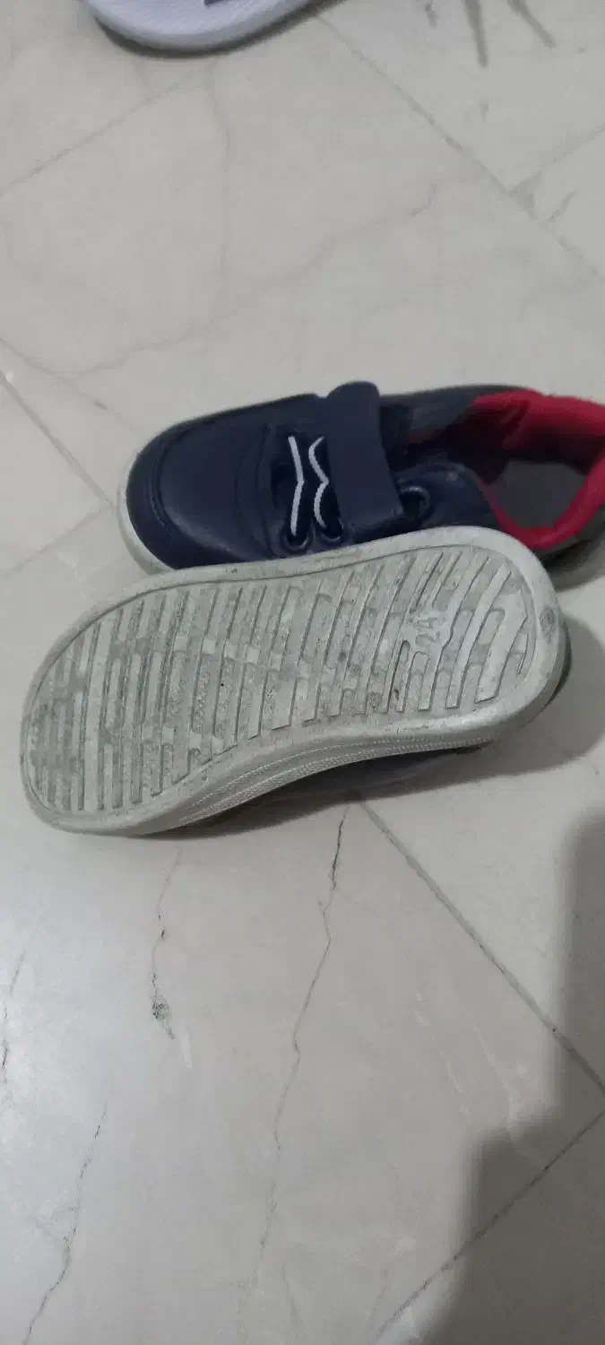 کفش کتونی برند پلو سایز ۲۴|کفش و لباس بچه|تهران, سازمان برنامه جنوبی|دیوار