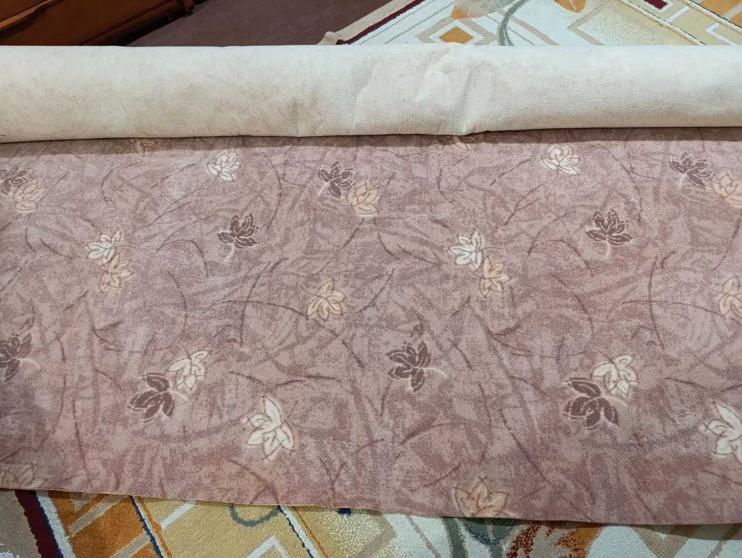 موکت|موکت|بندرعباس, |دیوار