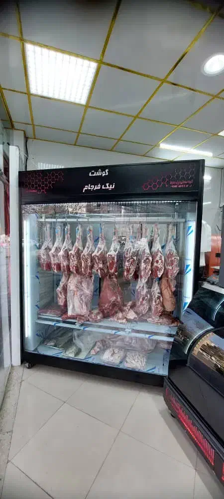 یخچال ایستاده سردخانه اره گوشت چرخ گوشت|فروشگاه و مغازه|بیرجند, |دیوار