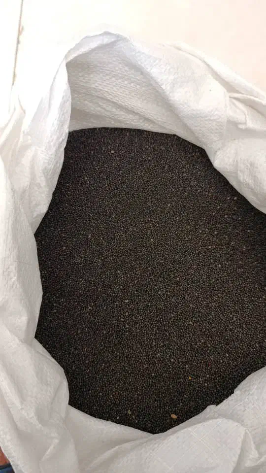 انواع کلزا دلگان هایولا ار جی اس|خدمات باغبانی و درختکاری|آق قلا, |دیوار