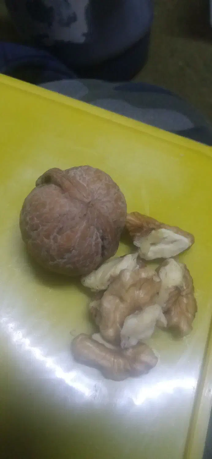 گردو|خوردنی و آشامیدنی|همدان, |دیوار