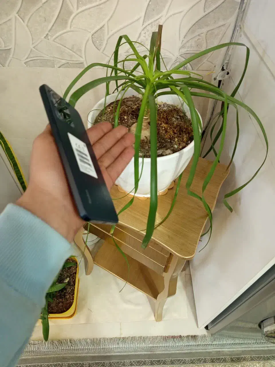 نوت 12|موبایل|قم, سراجه (۱۵ خرداد)|دیوار