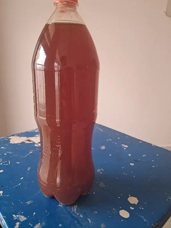 آبغوره|خوردنی و آشامیدنی|پیر بکران, |دیوار