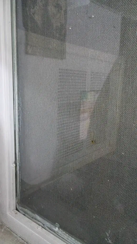 کولر ۱۹هزار سامسونگ|کولر گازی و فنکوئل|هشتگرد, فاز ۷ مهستان|دیوار