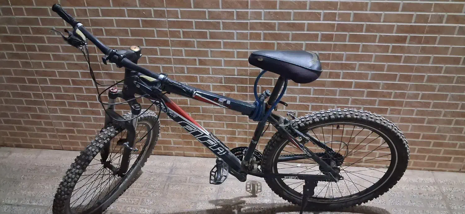 دوچرخه ۲۶|دوچرخه، اسکیت، اسکوتر|بروجن, |دیوار