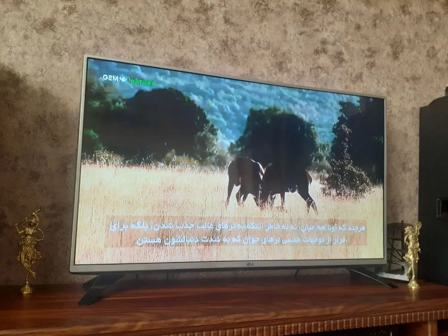 تلویزیون  ۴۲اینچ ال جی|تلویزیون و پروژکتور|چهارباغ, |دیوار