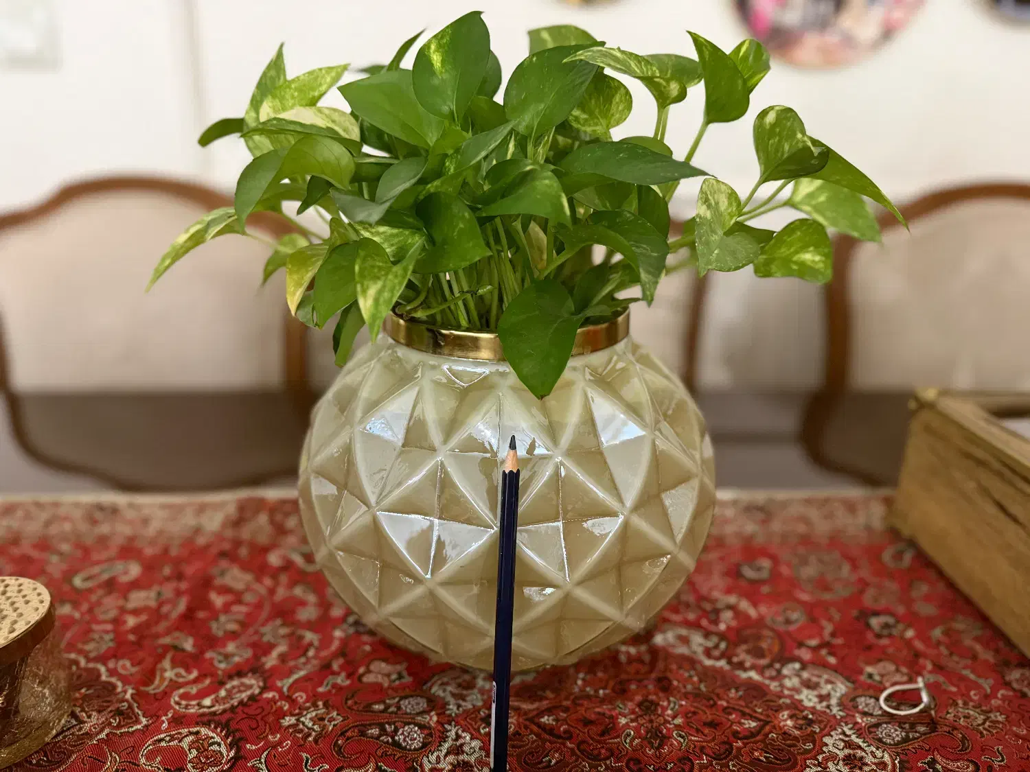 گل و گلدان|گل و گیاه طبیعی|تهران, بهار|دیوار