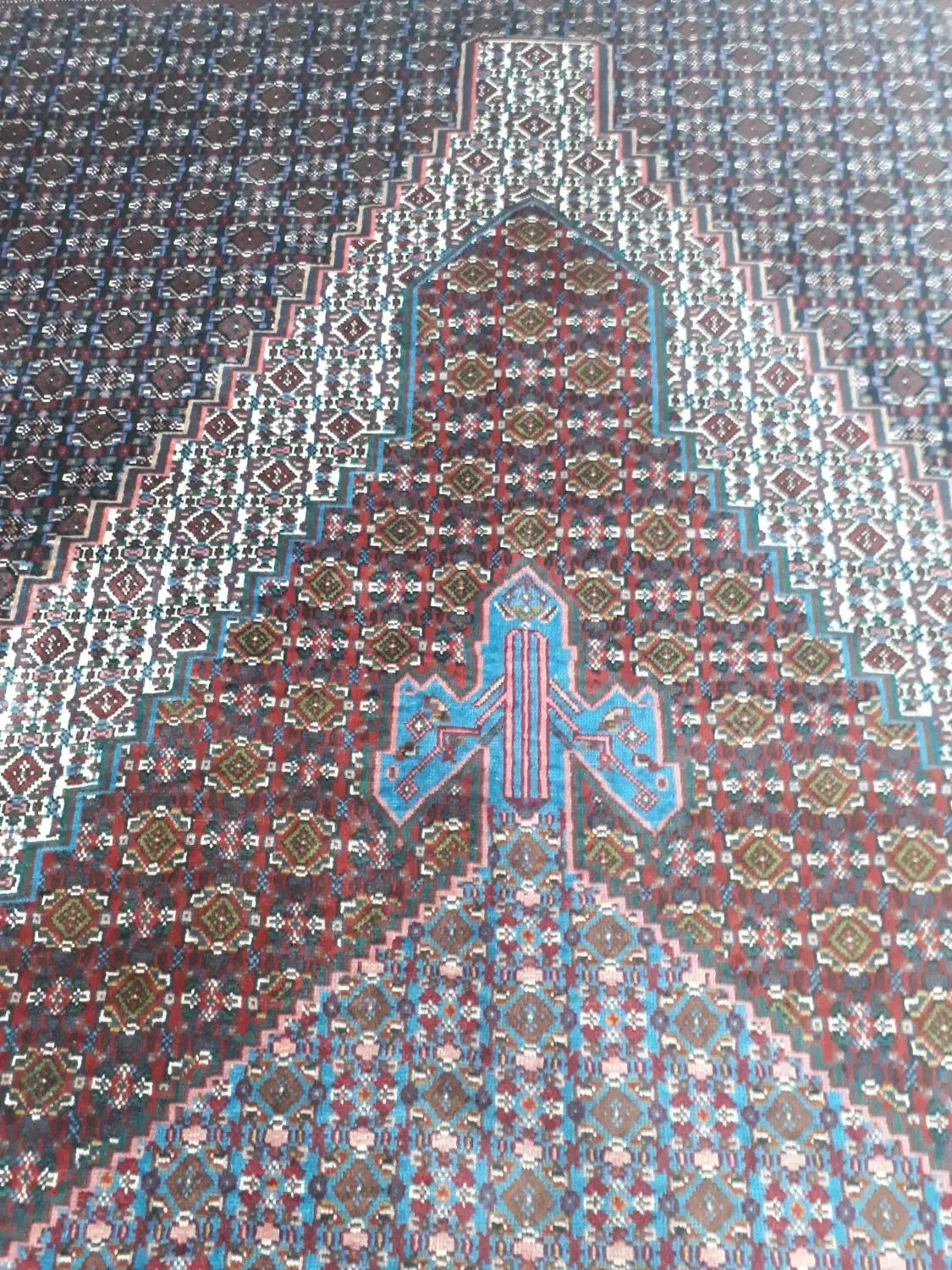 فرش کلاه فرنگ|فرش|سنندج, |دیوار