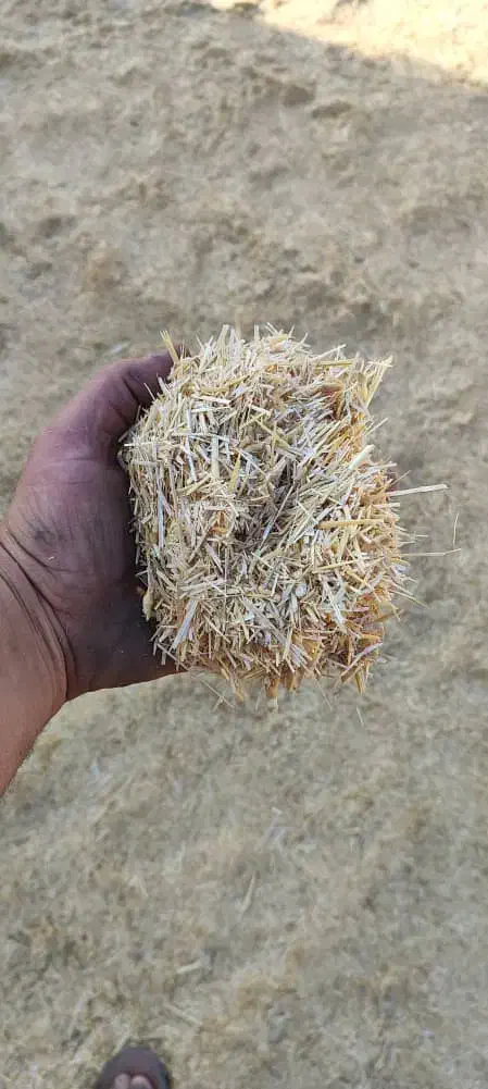 کاه گندم فروشی|حیوانات مزرعه|فردوس (خراسان), |دیوار