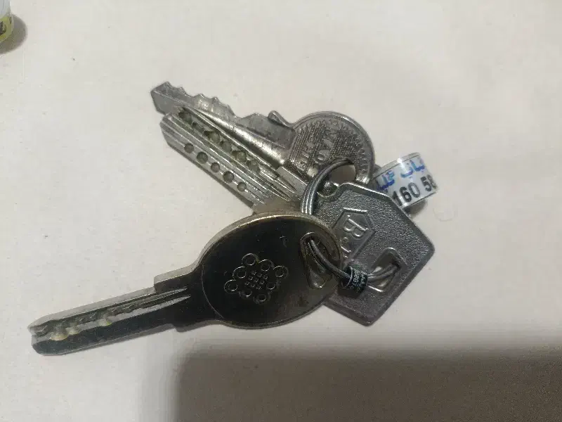 سرکلیدی تبلیغاتی پلاک کبوتر|لوازم جانبی حیوانات|تهران, شهرک غرب|دیوار