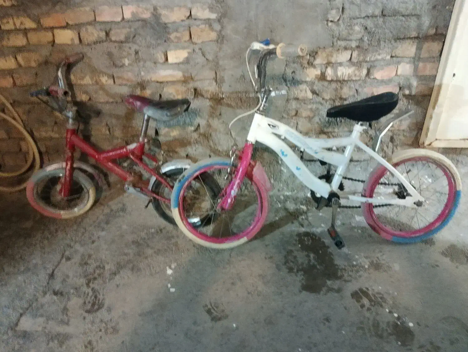 دوچرخه|دوچرخه، اسکیت، اسکوتر|بجنورد, |دیوار