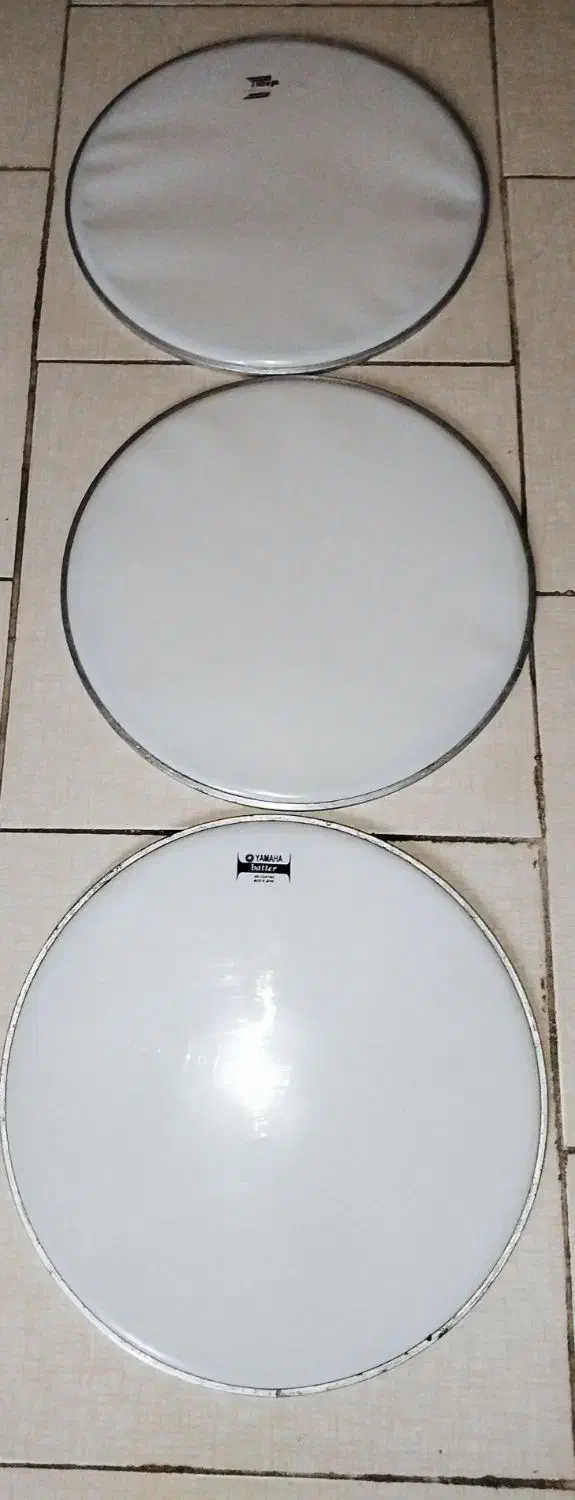 پوست سنردرام وکیس گیتار|درام و پرکاشن|کرج, حسن آباد|دیوار