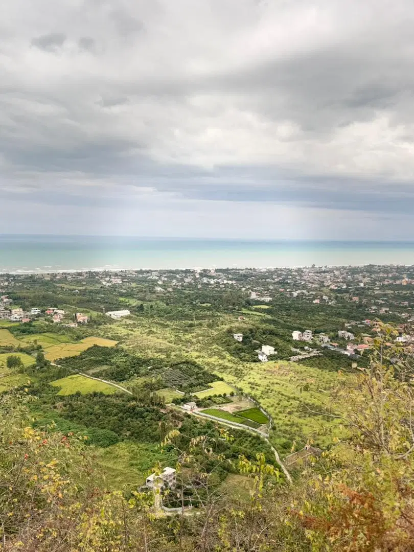 تصویر اصلی
