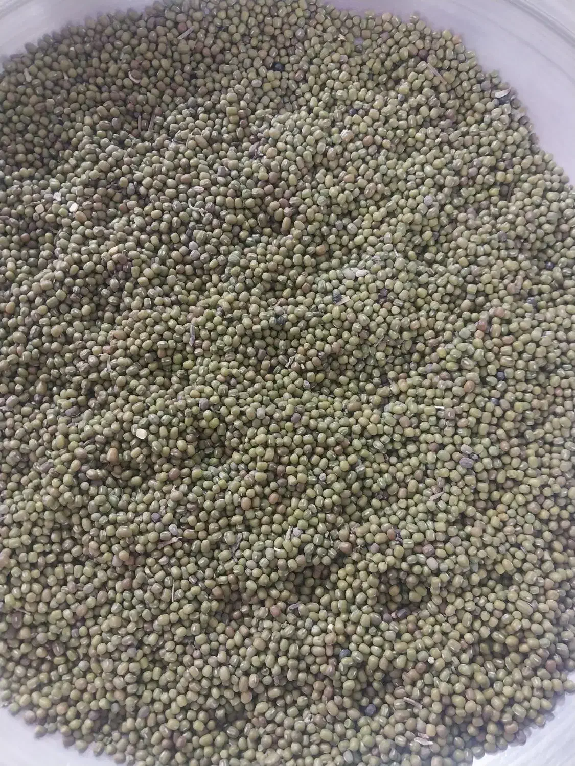 ماش درجه ۱|خوردنی و آشامیدنی|کوهدشت, |دیوار