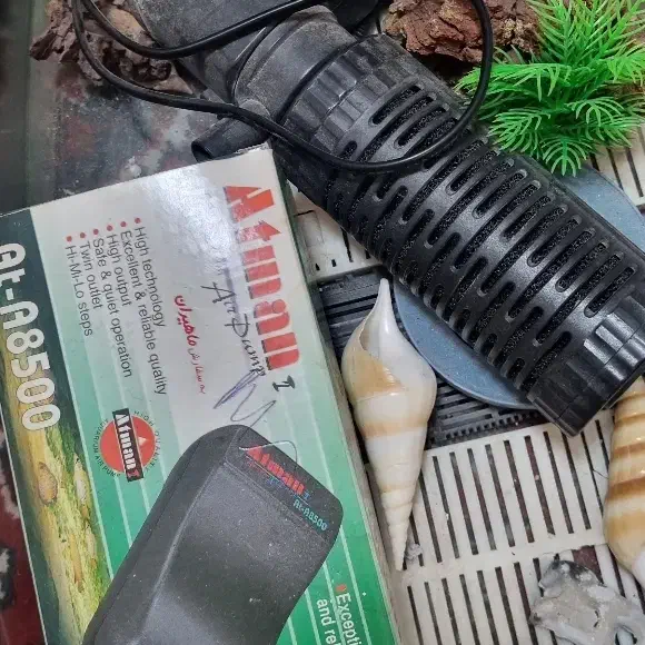 اکواریوم+وسایل|ماهی|کاشان, فاز ۱ ناجی آباد|دیوار