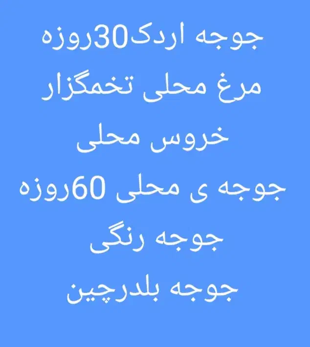 سالم هستندو|حیوانات مزرعه|شیراز, کوشک میدان|دیوار