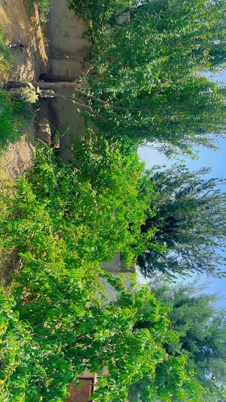 430 متر باغ ویلا|فروش خانه و ویلا|رباط‌کریم, انجم آباد|دیوار