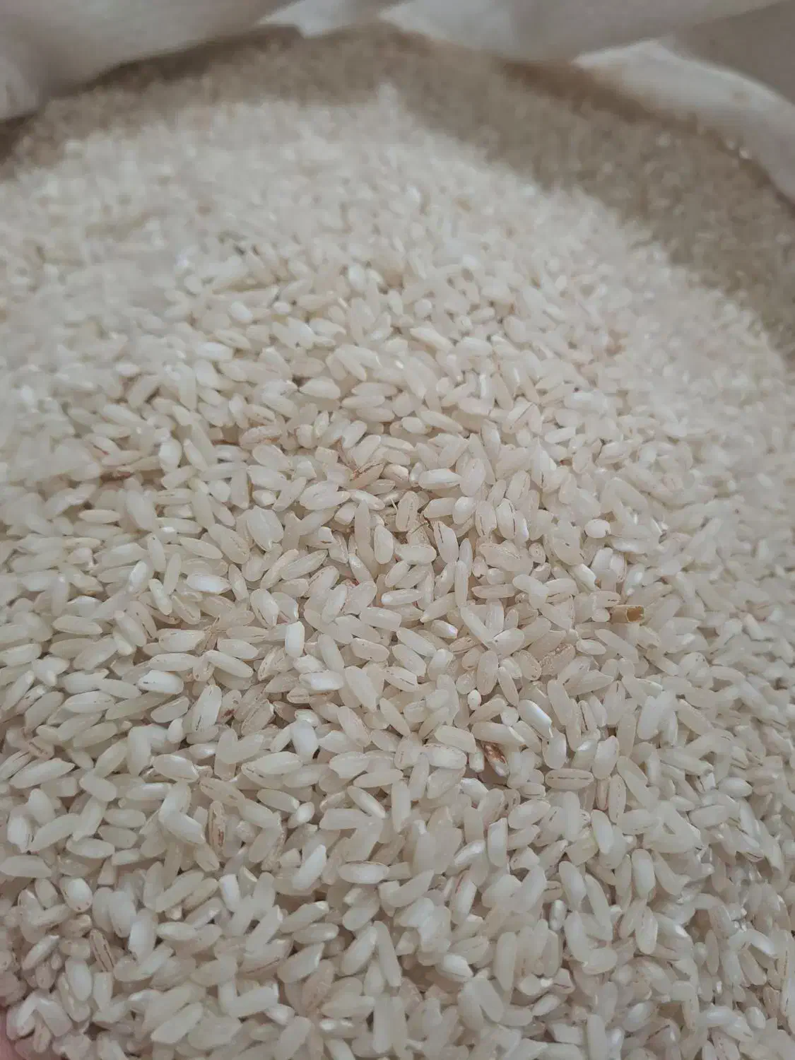 برنج عنبربو|خوردنی و آشامیدنی|دره شهر, |دیوار