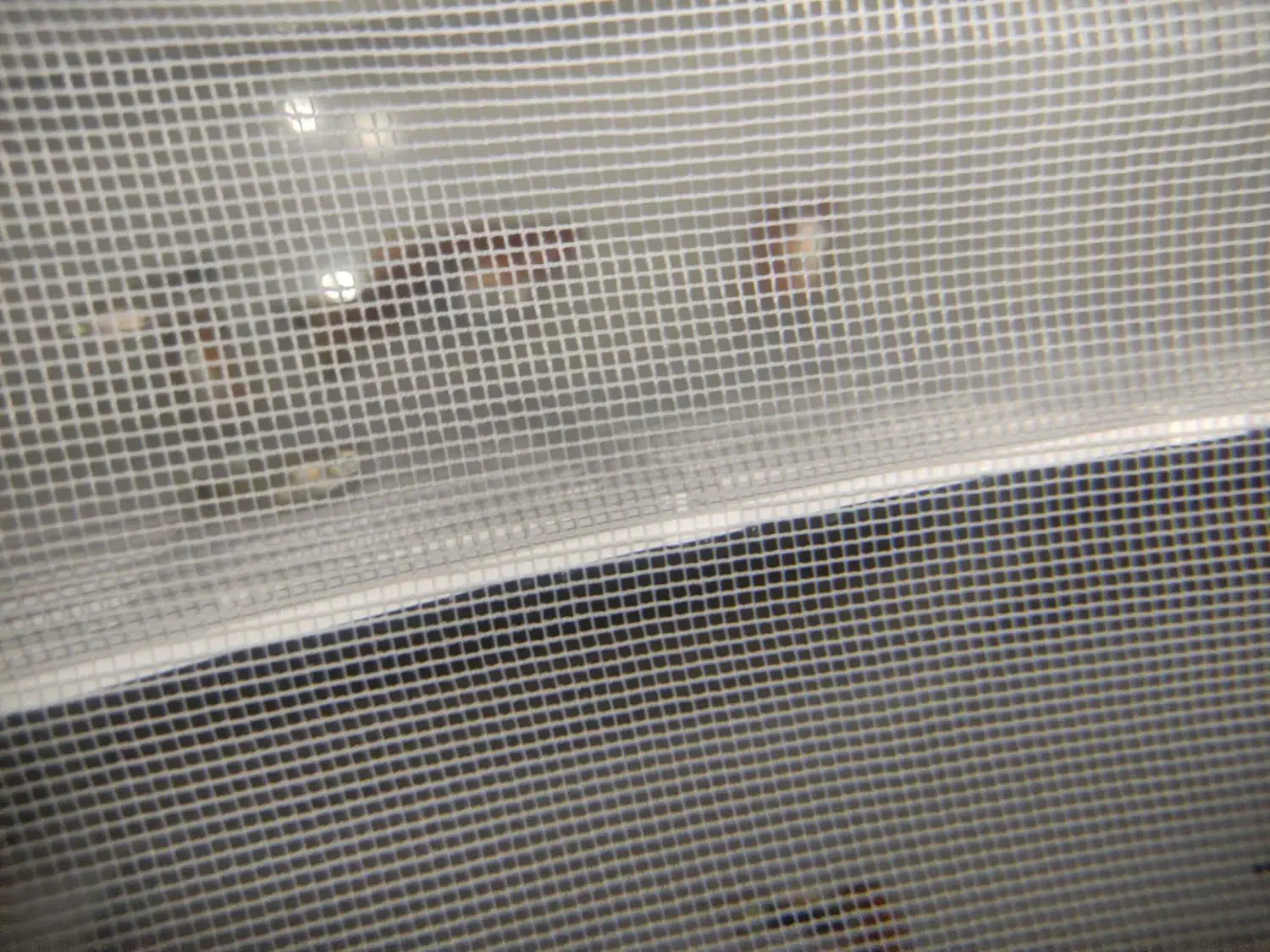 ماهی قیمت عالی|ماهی|تربت جام, نظامی|دیوار