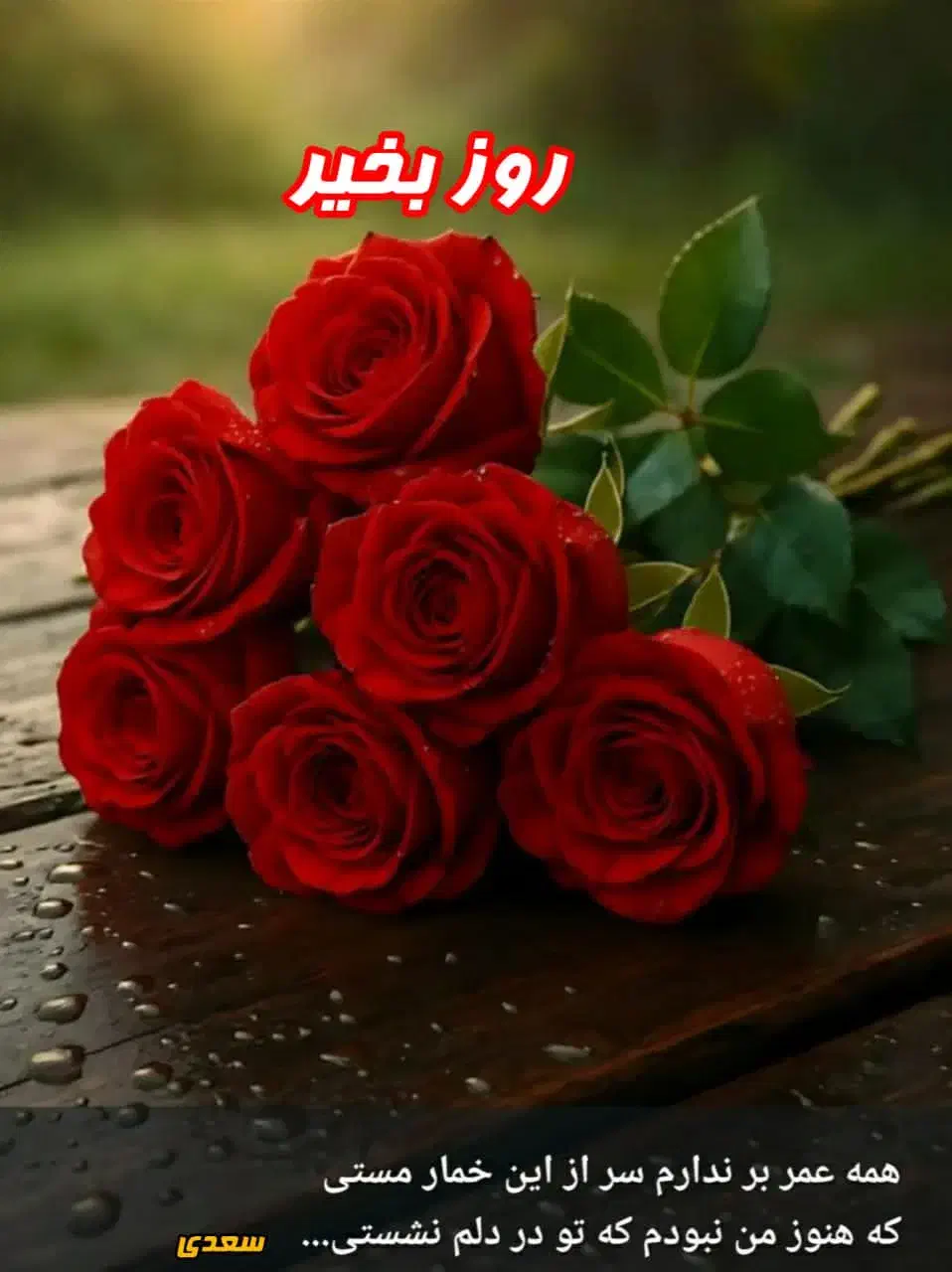 عکاسی وفیلمبرداری|خدمات پذیرایی، مراسم|اردبیل, |دیوار