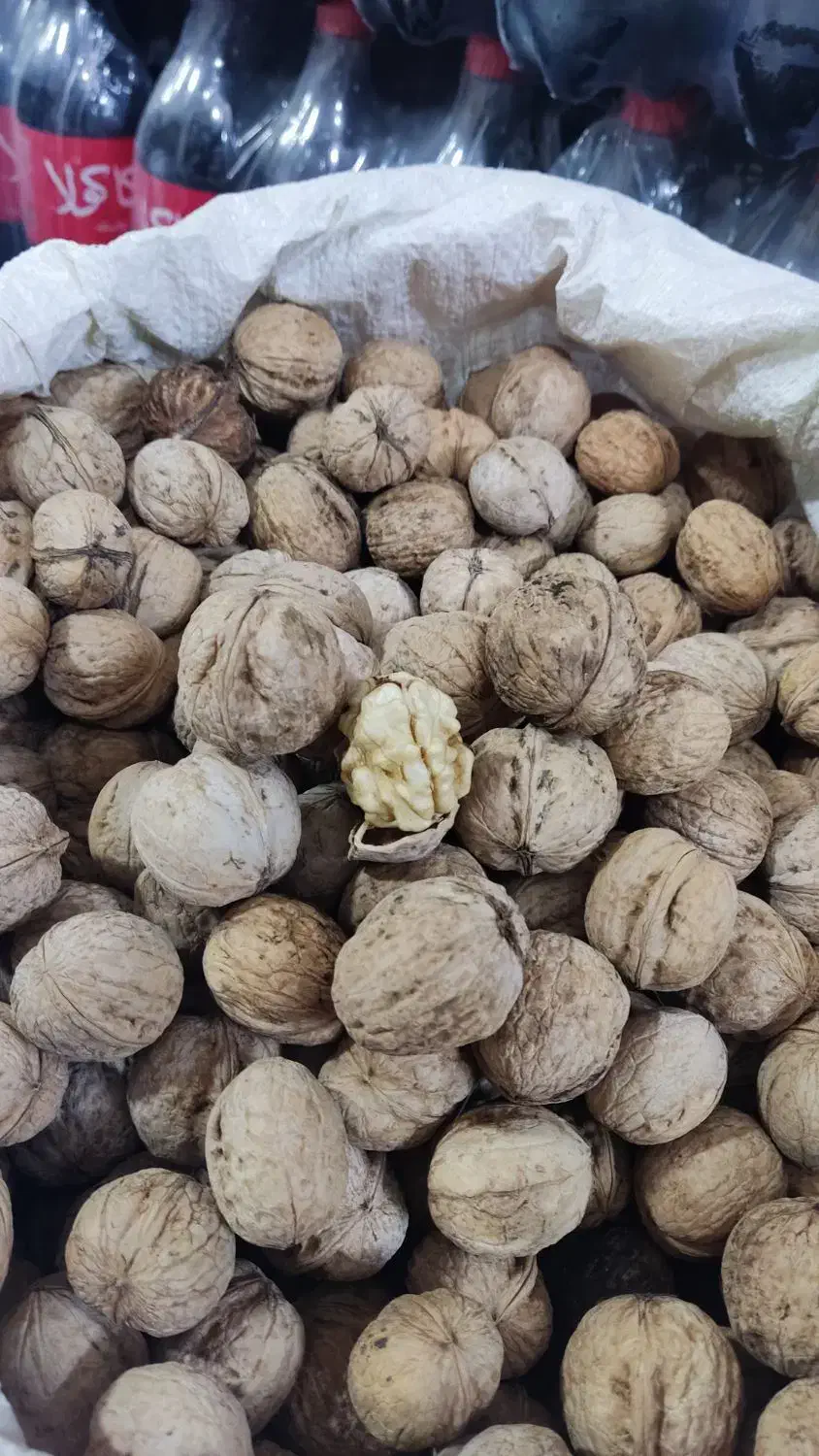 گردو|خوردنی و آشامیدنی|مشهد, مشکینی (شهرک غرب)|دیوار