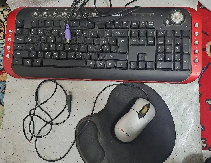 کیبورد و موس|قطعات و لوازم جانبی رایانه|آبیک, |دیوار