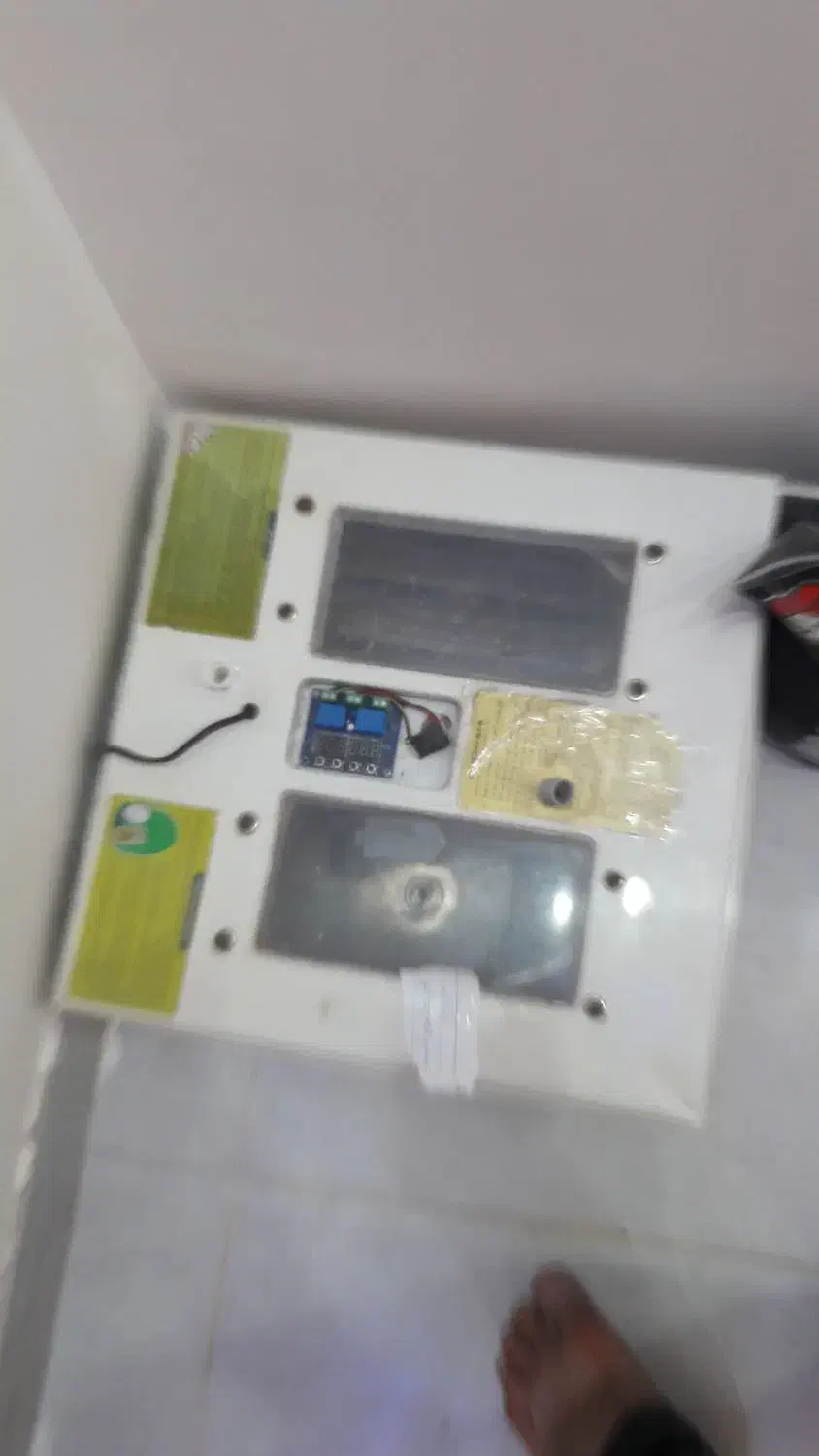 دستگاه جوجه کشی|لوازم جانبی حیوانات|کبودرآهنگ, |دیوار