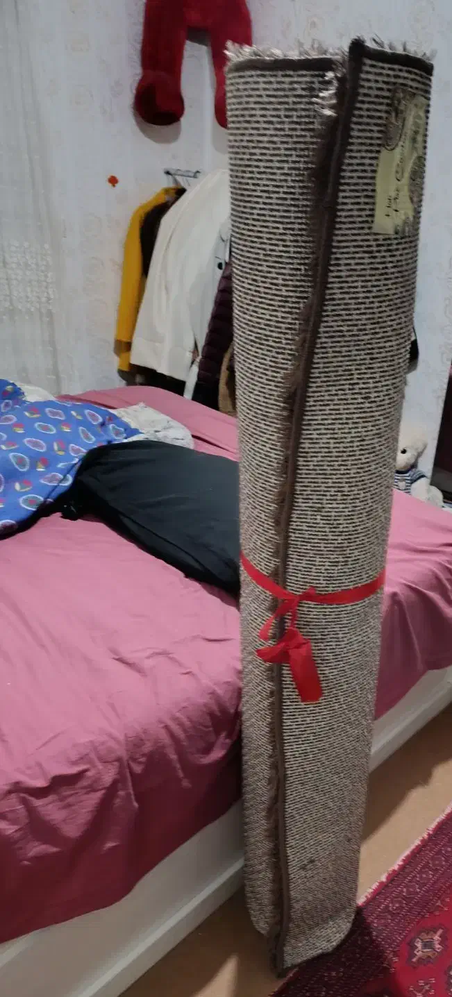 فرش پنبه ای|فرش|اردبیل, |دیوار