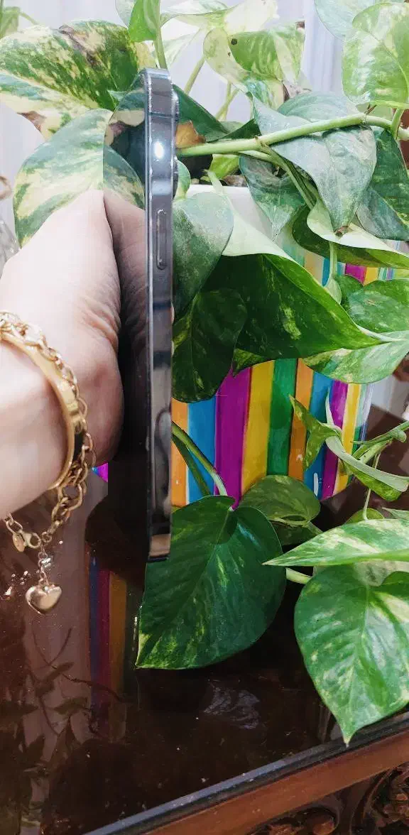 پرومکس ۱۳|موبایل|فومن, |دیوار