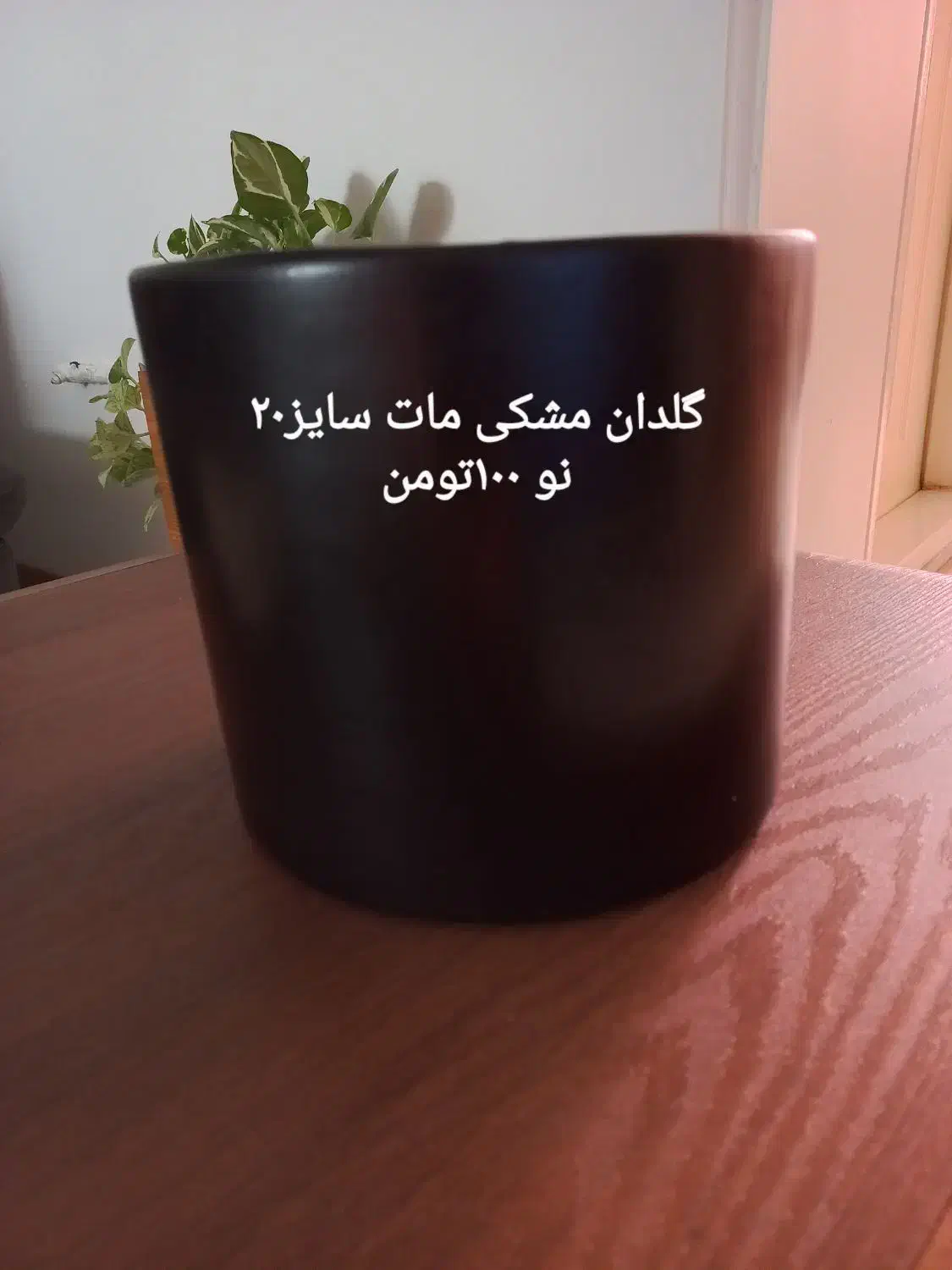 گلدان|گل مصنوعی|تهران, افسریه شمالی|دیوار