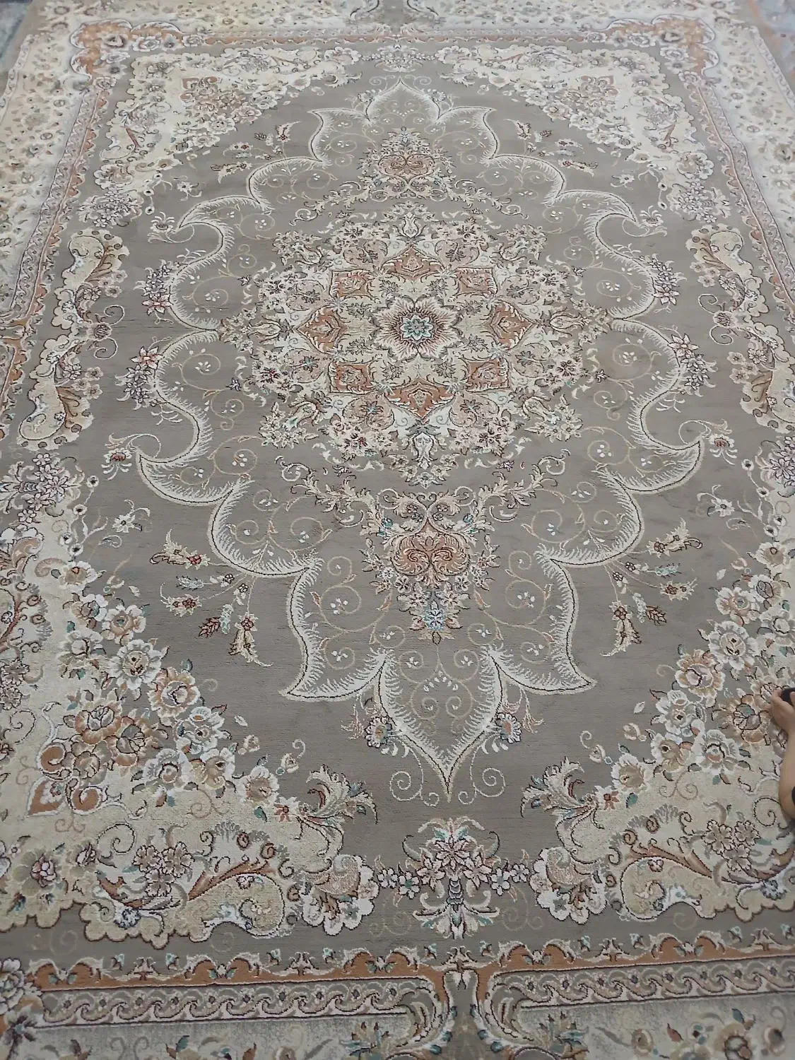 دوعدد قالی ۱۲متری تمیز|فرش|بجنورد, |دیوار