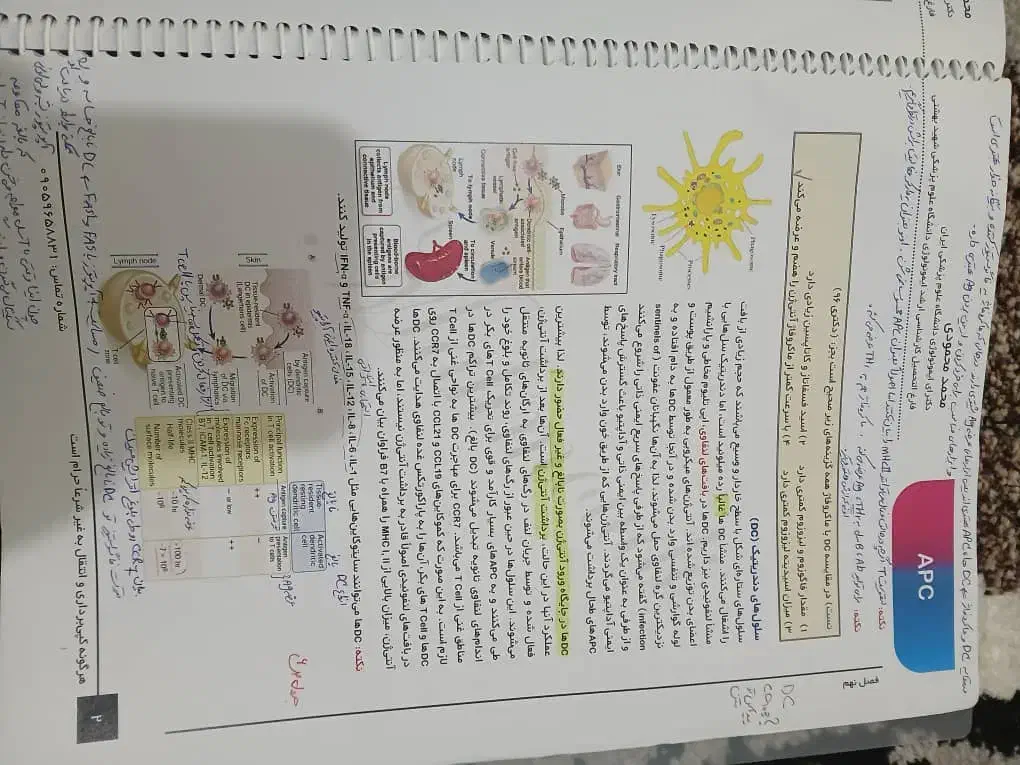 کتاب|کتاب و مجله آموزشی|کلاردشت, |دیوار