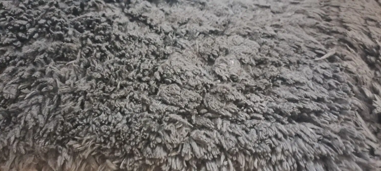 پادری خزدار در حد نو|پادری|رشت, حاجی آباد|دیوار