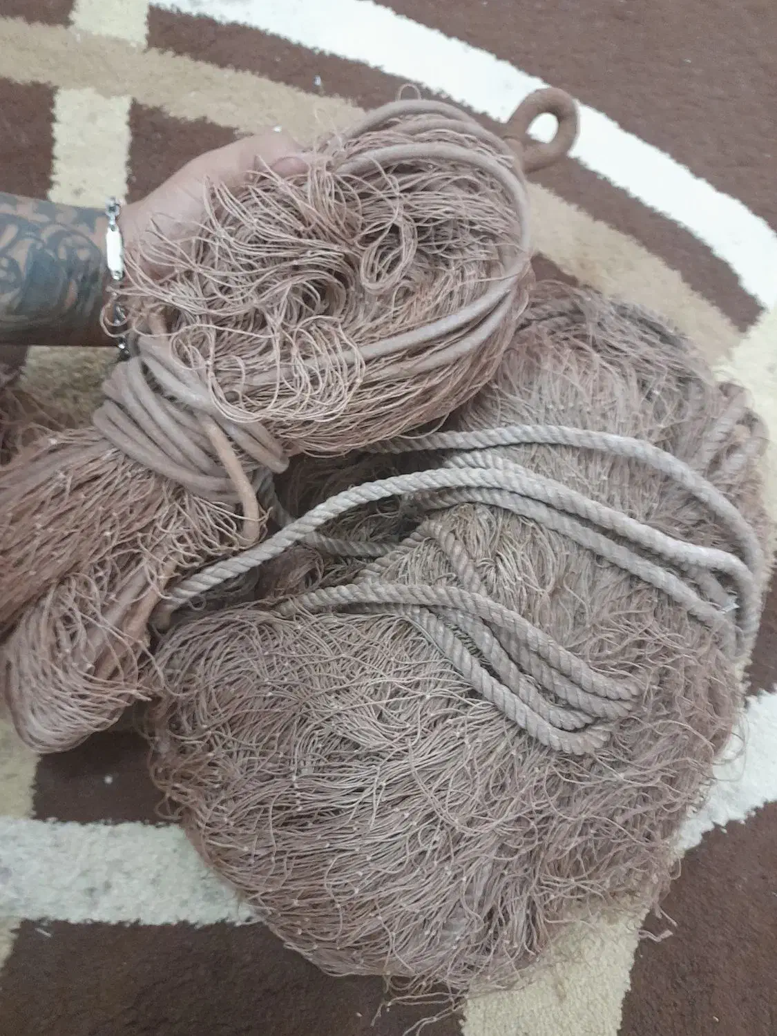 تور ماهیگیری|ماهیگیری|بروجرد, |دیوار