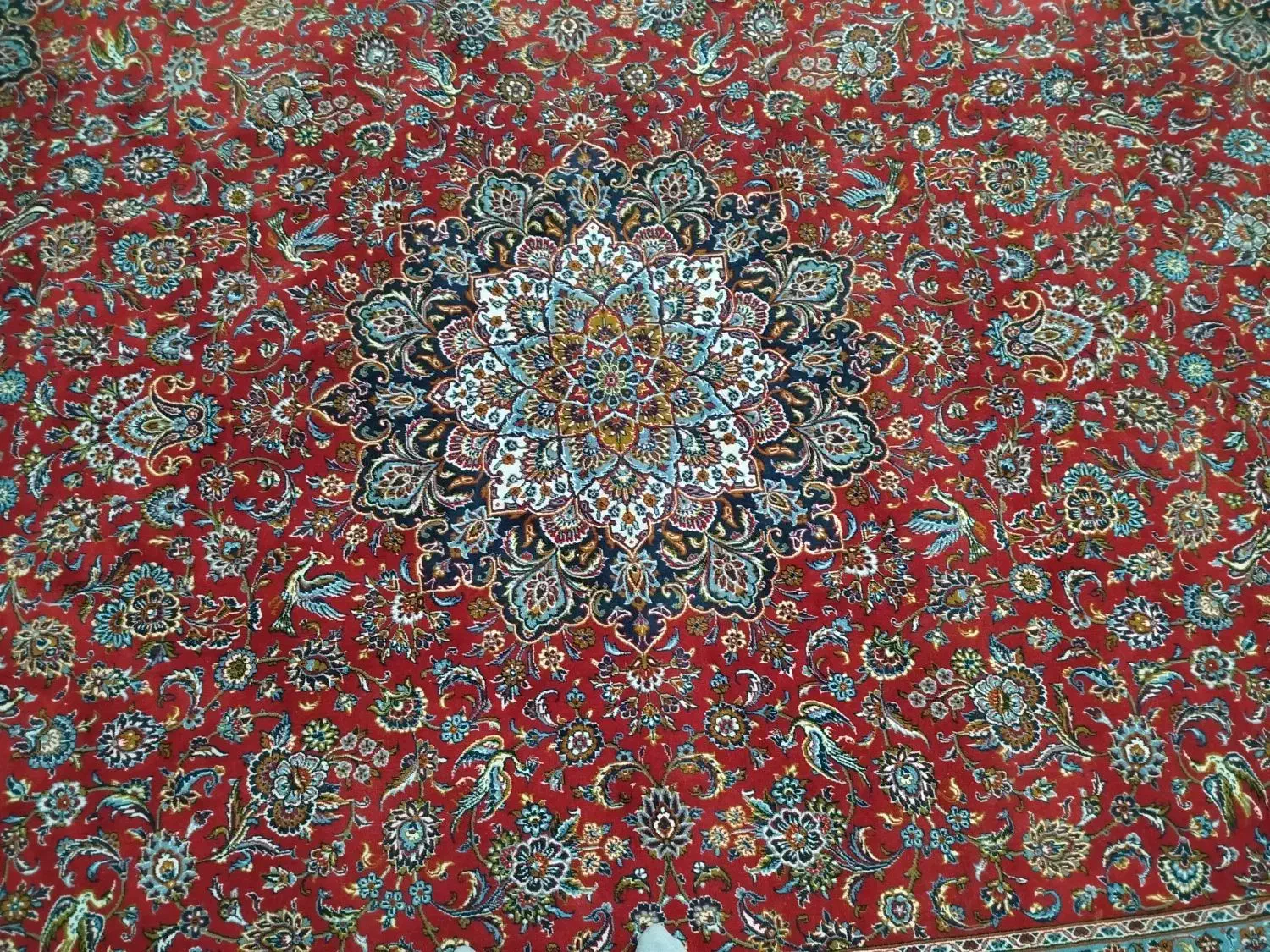 فرش 12متری|فرش|بیرجند, |دیوار