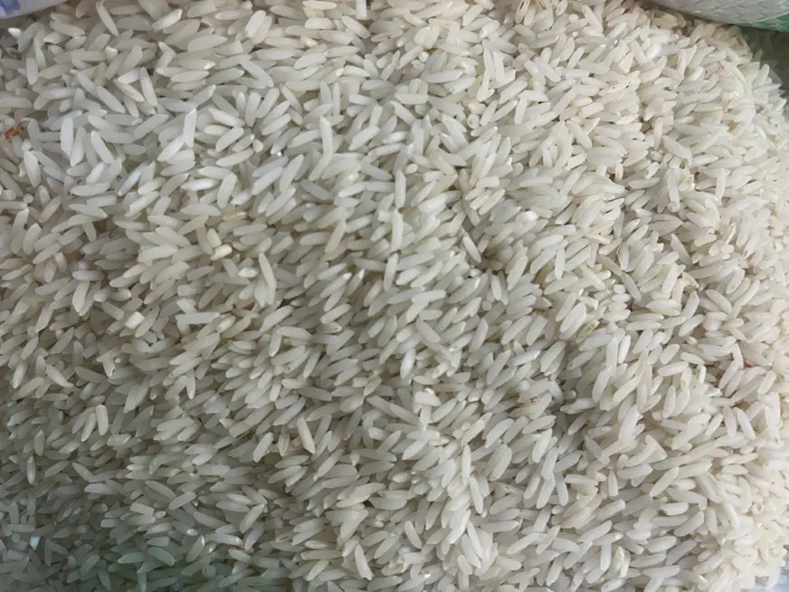 برنج|خوردنی و آشامیدنی|صومعهسرا, |دیوار