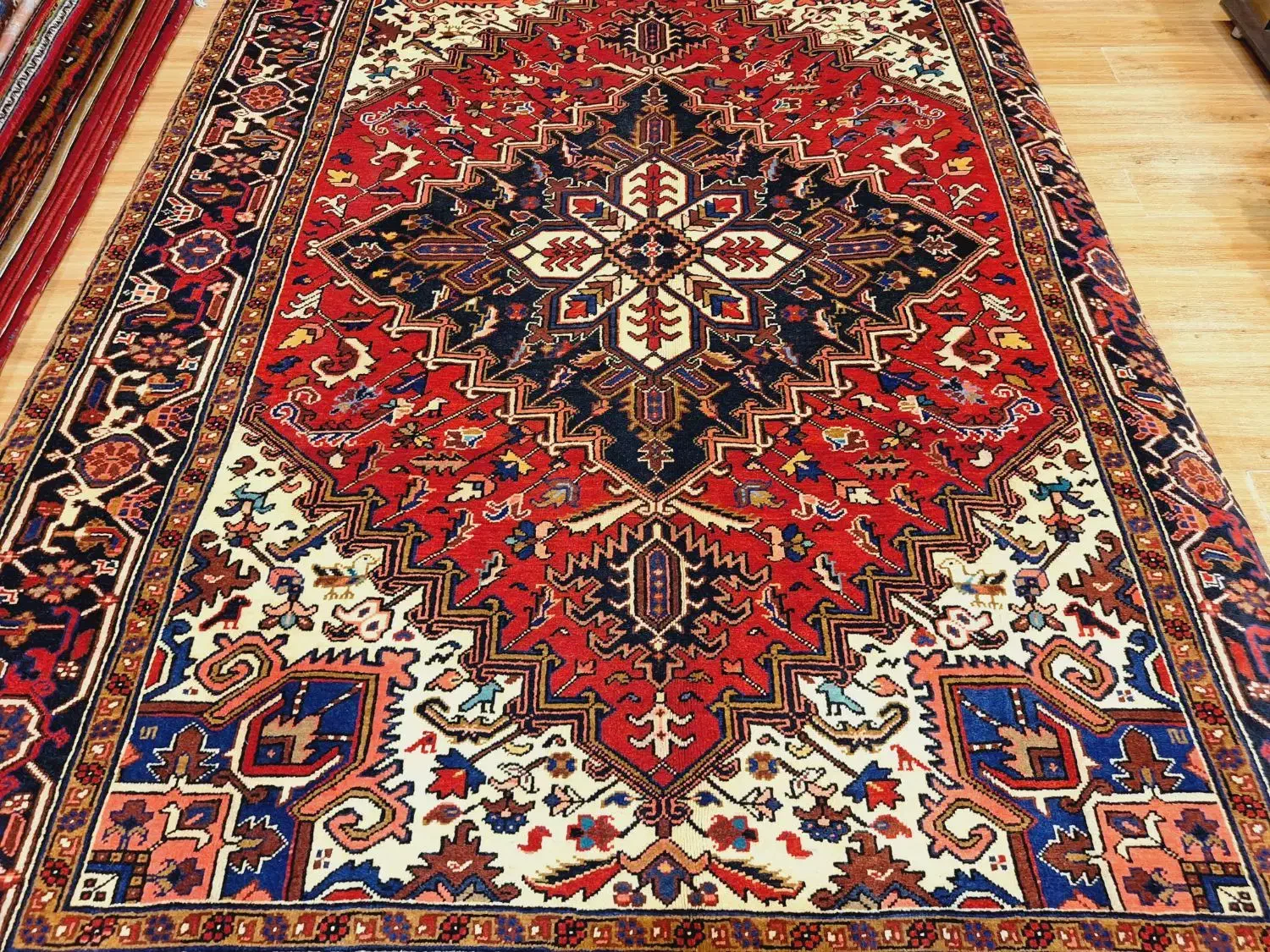 هریس در ابعاد ۶متری تمام رنگ گیاه|فرش|تهران, اکباتان|دیوار