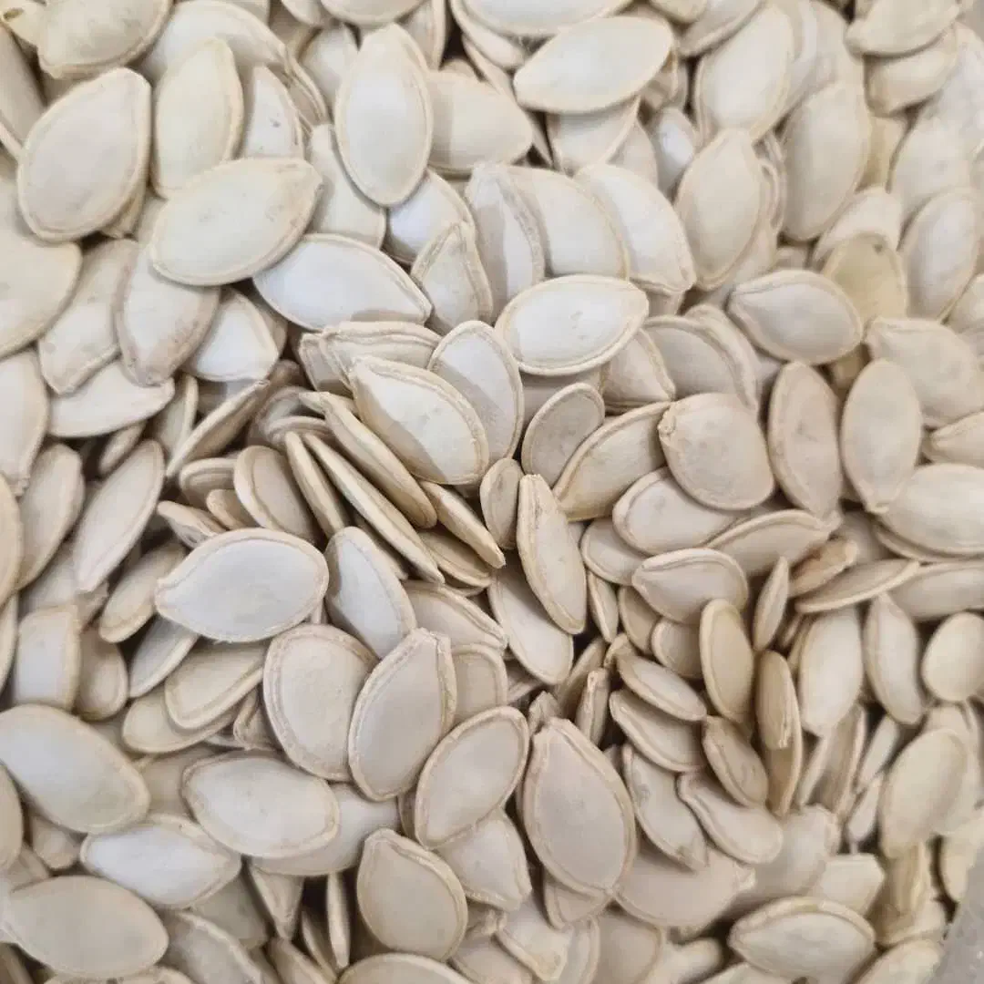 فروش تخمه کدو|حراج|آباده, |دیوار