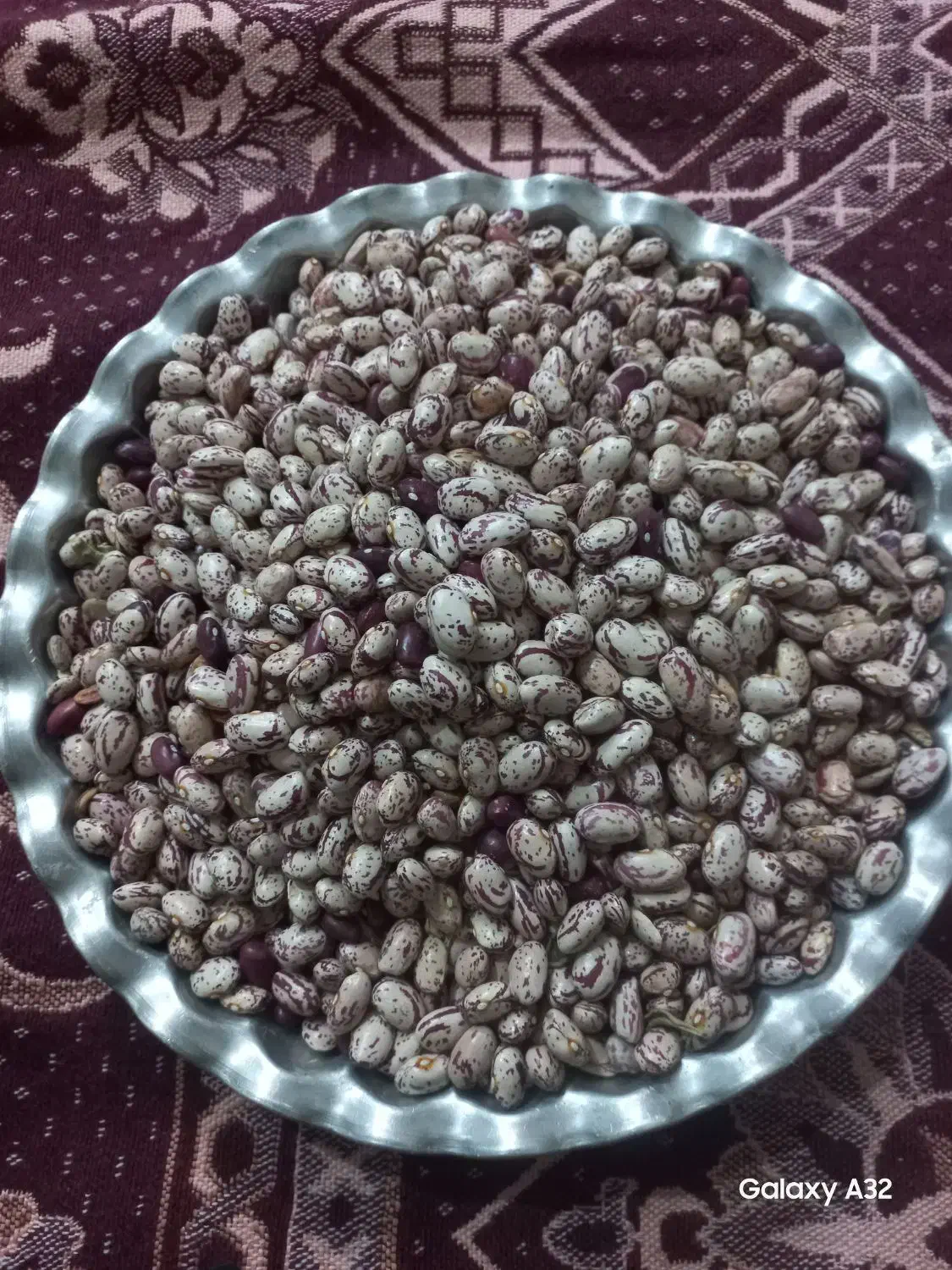 لوبیا چیتی|خوردنی و آشامیدنی|سراب, |دیوار