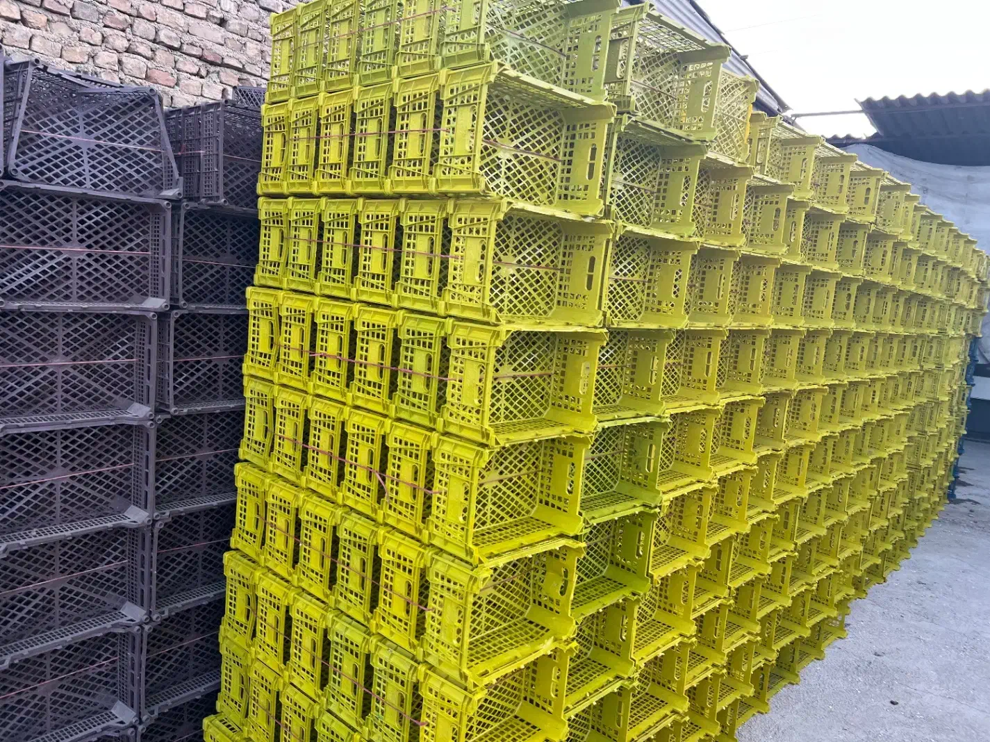 تولید کننده انواع سبدهای میوه|عمده‌فروشی|هشتگرد, تهران دشت|دیوار