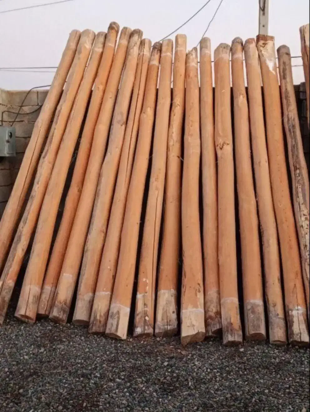 خرید فروش چوب|خدمات باغبانی و درختکاری|خرم‌آباد, |دیوار