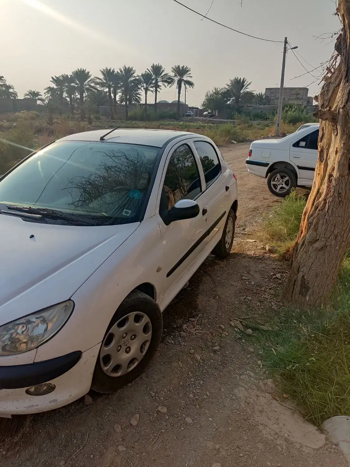 ۲۰۶ مدل ۸۳ تک برگ سند|خودرو سواری و وانت|جیرفت, |دیوار