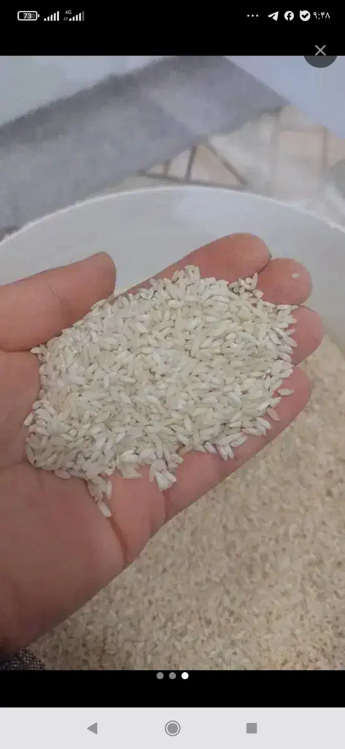 برنج عنبر بو|خوردنی و آشامیدنی|ری, دولتآباد|دیوار