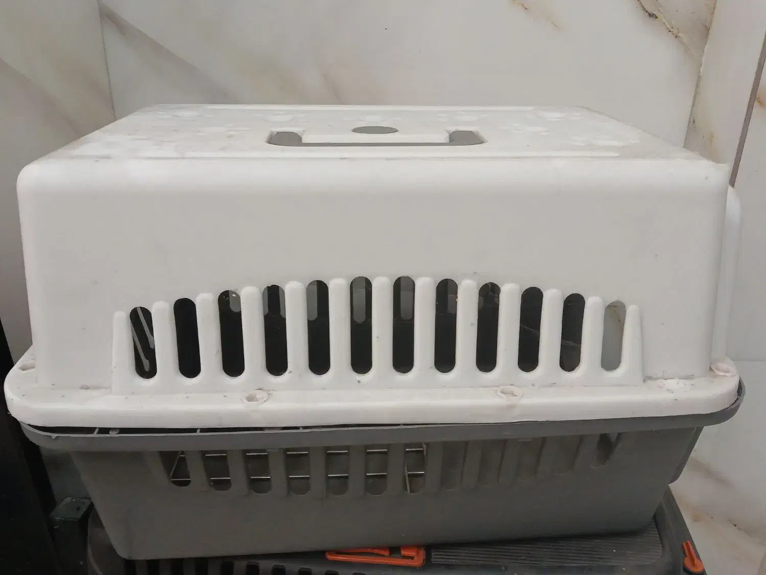 فروش  باکس نگهداری  گربه|لوازم جانبی حیوانات|رشت, لاکان|دیوار