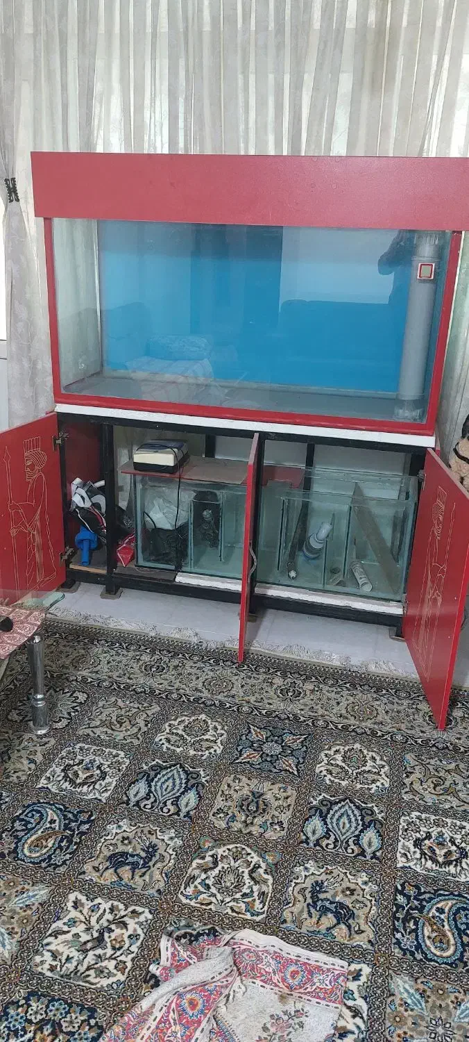 آکواریوم آب شور وشیرین|لوازم جانبی حیوانات|فولادشهر, A2|دیوار