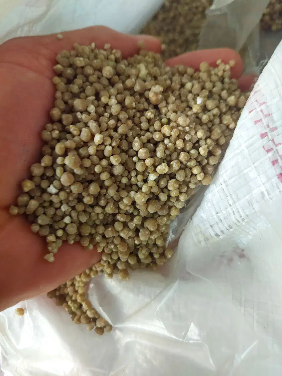 کود شیمیایی دی امونیم ۴۶ درصد گندم|خدمات باغبانی و درختکاری|بزینه رود, |دیوار