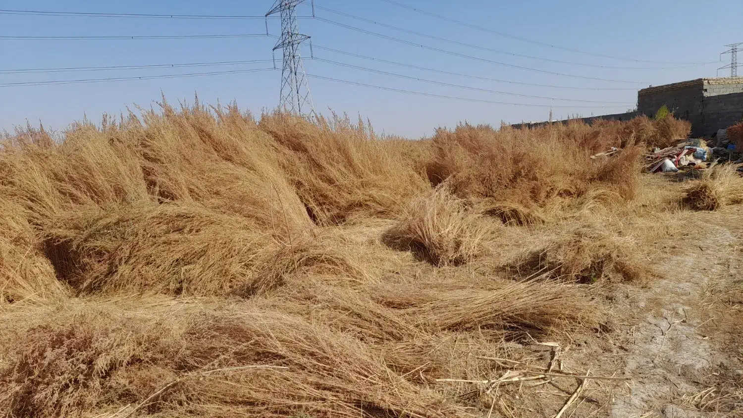 جارو شهرداری|لوازم نظافت|نظرآباد, قوچ حصار|دیوار