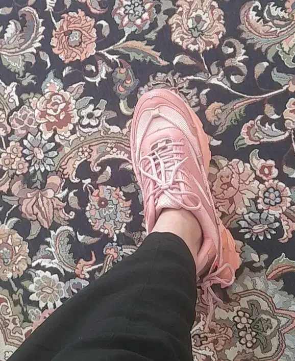 کفش|کیف، کفش، کمربند|لردگان, |دیوار